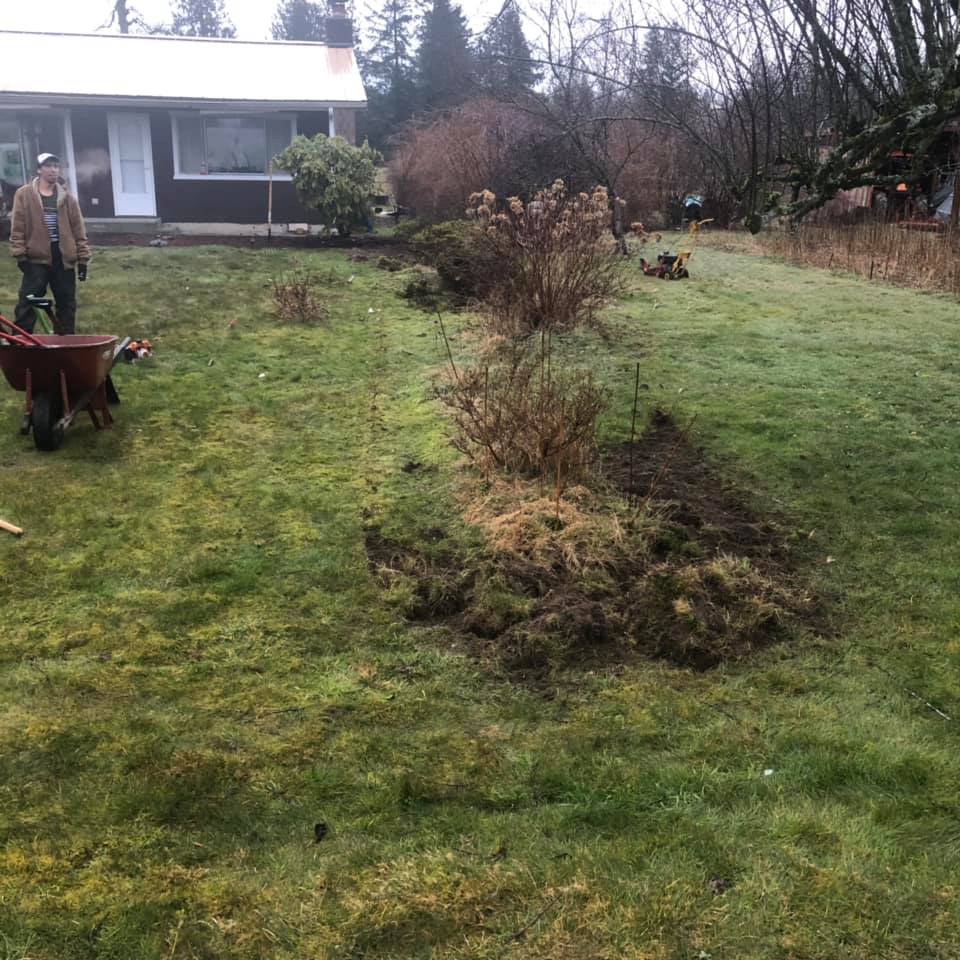 Garden Beds In Front Yard Before — Monroe, WA — Noriega Landscaping