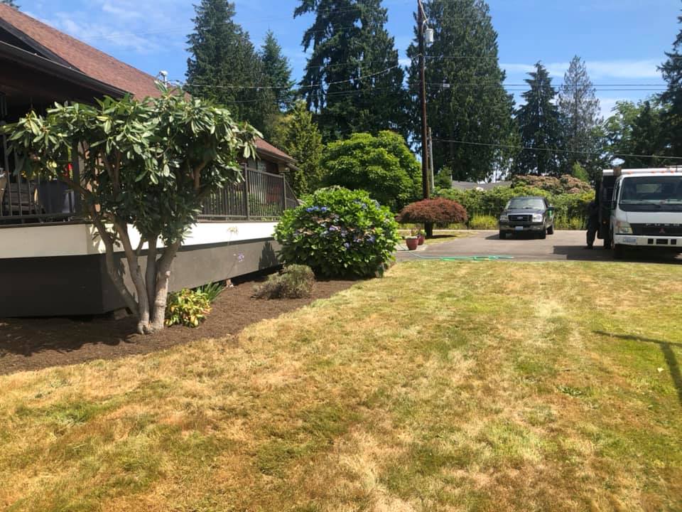 Outdoor Landscaping With Bushes After — Monroe, WA — Noriega Landscaping