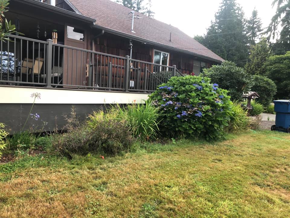 Outdoor Landscaping With Bushes Before — Monroe, WA — Noriega Landscaping