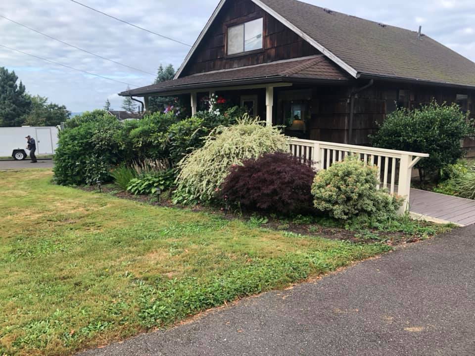 Outside Brush Before — Monroe, WA — Noriega Landscaping