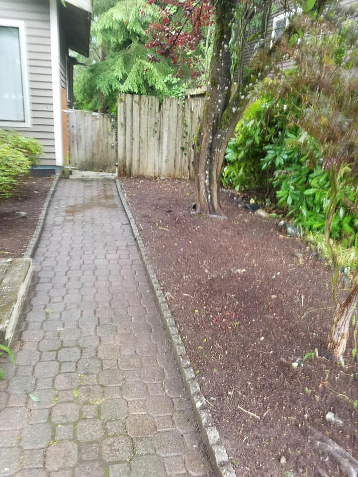 Overgrowth Cleanup After — Monroe, WA — Noriega Landscaping