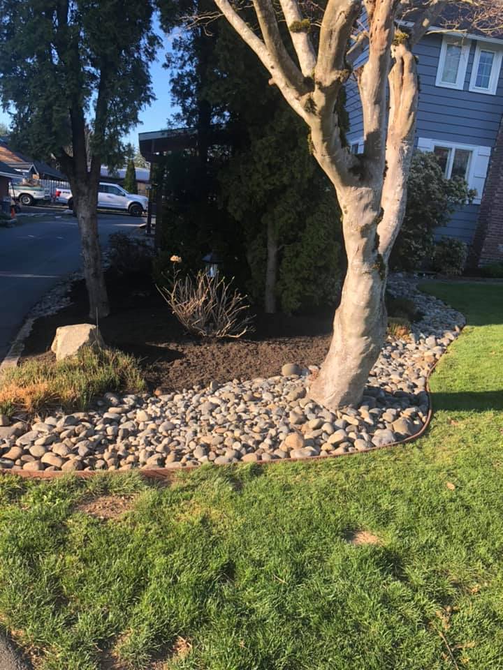 Riverrock Weed Cleanup After — Monroe, WA — Noriega Landscaping