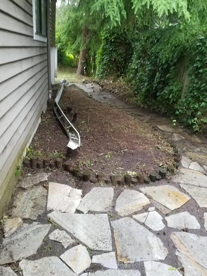 Weed Cleanup After — Monroe, WA — Noriega Landscaping