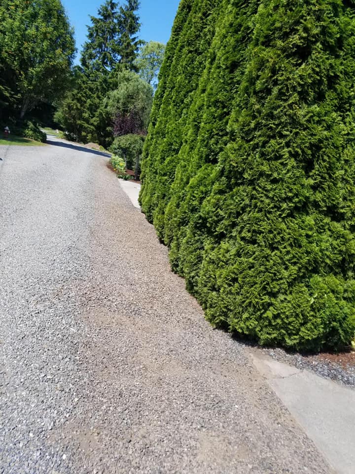 Weed Removal After — Monroe, WA — Noriega Landscaping