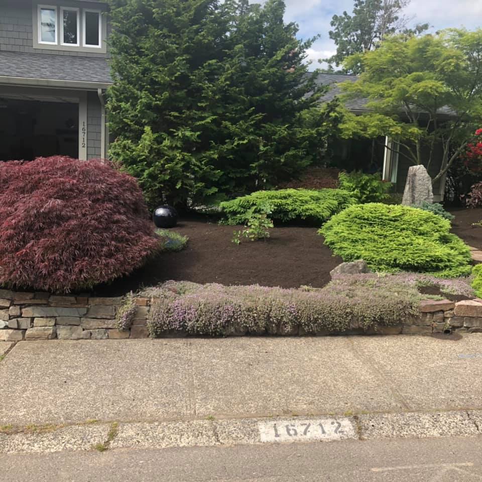 Yard Brush Cleanup After — Monroe, WA — Noriega Landscaping