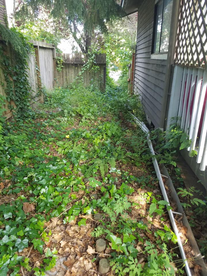 Yard Cleanup Before — Monroe, WA — Noriega Landscaping