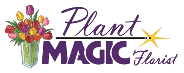Plant Magic Florists