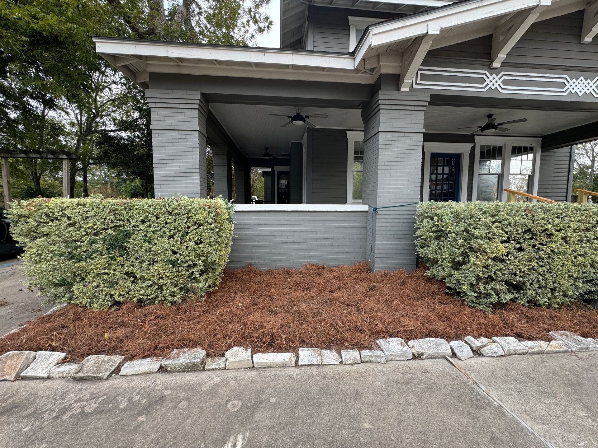 A gray house with a porch and a bush in front of it with pine straw as the mulch.