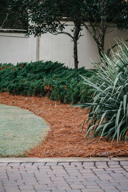 A brick walkway leading to a lush green garden with a white fence in the background.