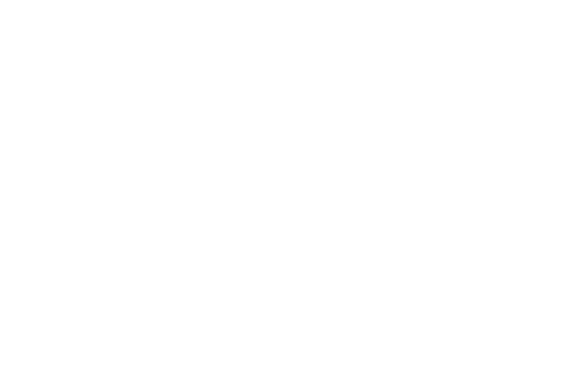 Das Raabarista, Logo