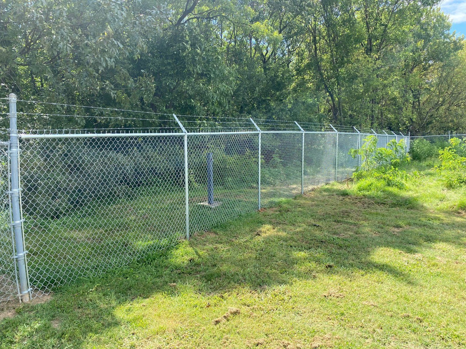 Chain-link fence topped with barbed wire, bordering a grassy area and trees under a sunny sky.