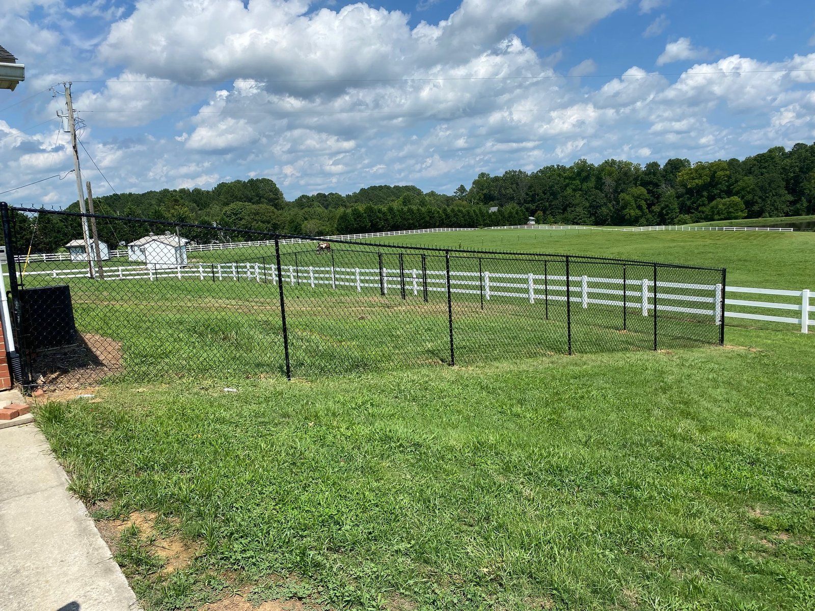A grassy yard with a black fenced enclosure, white fence, and trees in the background under a cloudy sky.