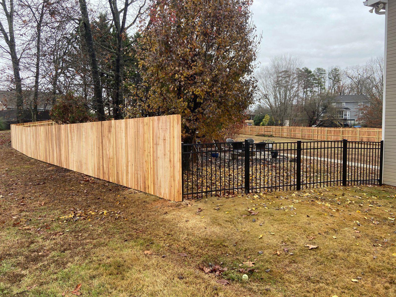 A wooden privacy fence transitions to a black metal fence, framing a yard with fall foliage.