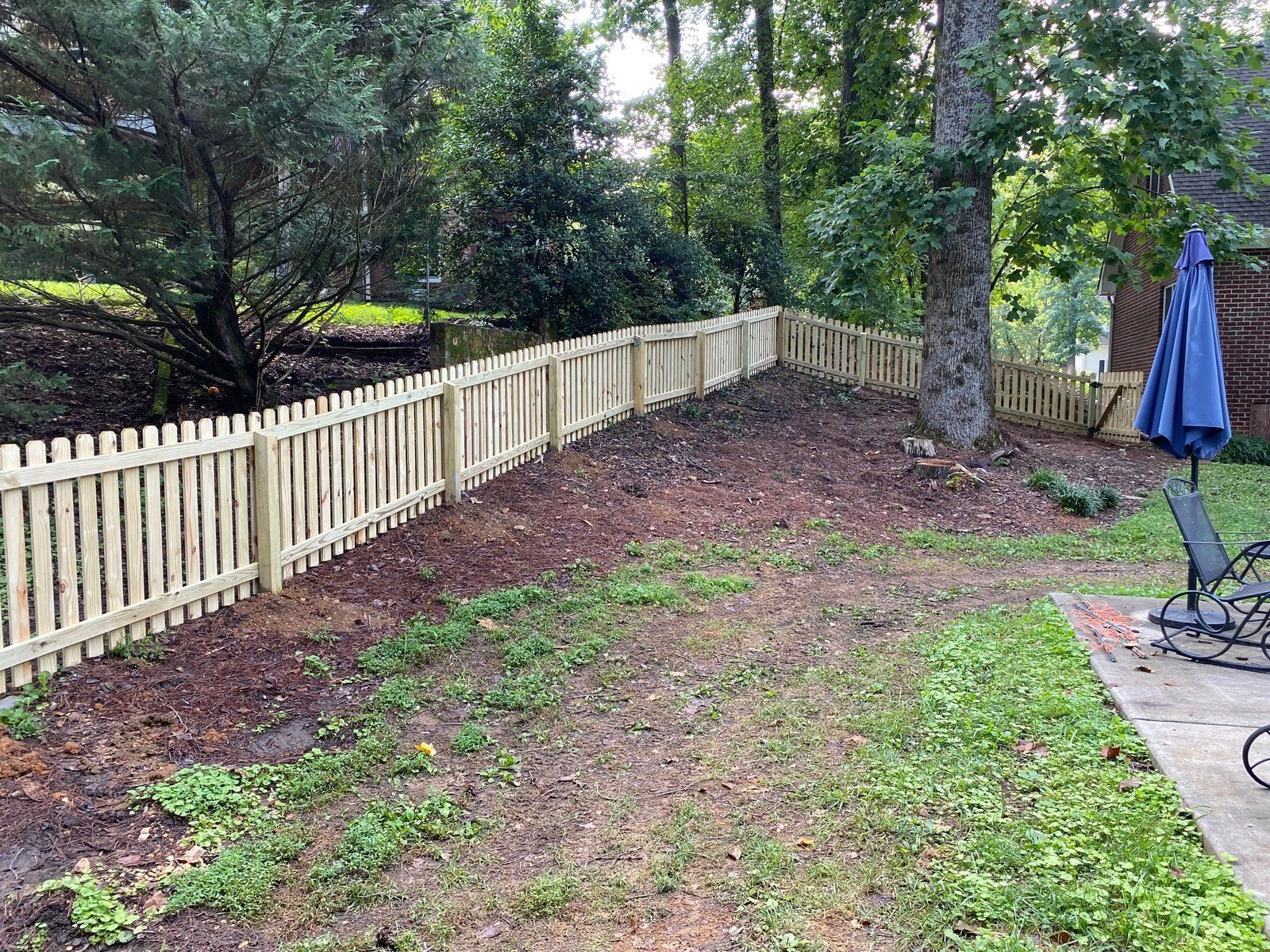 A wooden picket fence on a slight hill in a backyard; trees and grass surround the fence.