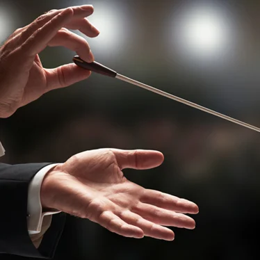 Coordinatie van projecten - Peacock & Partners