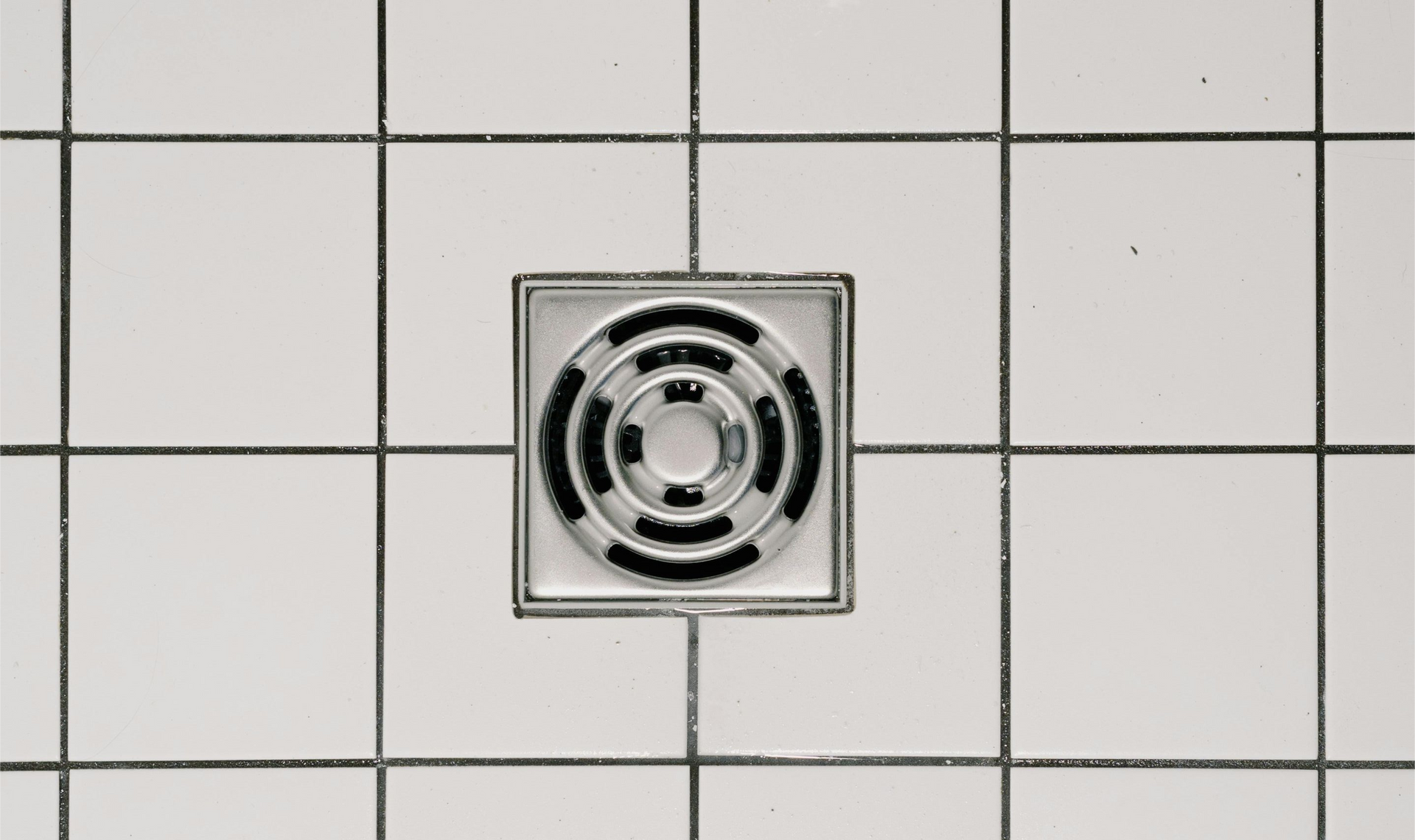Shower drain in white tiled floor, silver drain cover with concentric black rings.