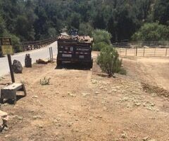 Dump truck on dirt road near bridge and trees.