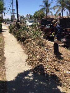 A person loads yard waste from a sidewalk into a truck. Pile of leaves and branches on the side of the street.