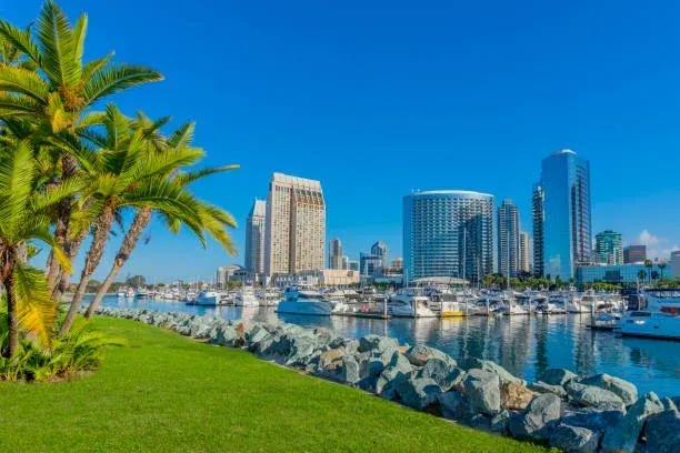 Palm trees frame a sunny waterfront view of San Diego's downtown skyline and harbor filled with boats.