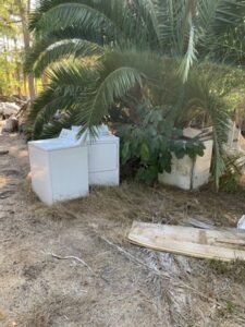 White appliances and debris in a dry, grassy outdoor setting with palm tree.
