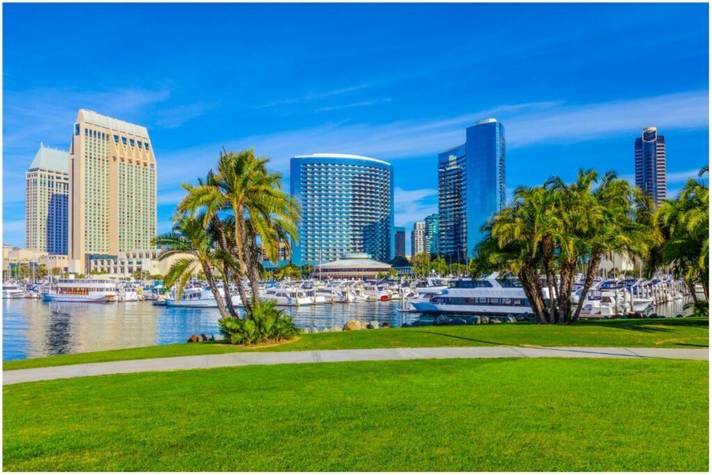 San Diego skyline with palm trees, boats, and green grass against a blue sky.