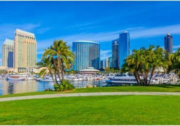 San Diego skyline with palm trees, boats in the harbor, and a green lawn under a clear blue sky.