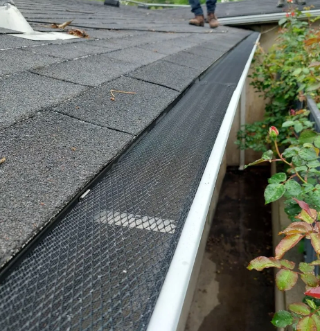 Roof edge with black gutter guard beside gray shingles and white gutter, with plants below
