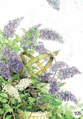 natuurkaarten mooi uniek www.henstashop.nl