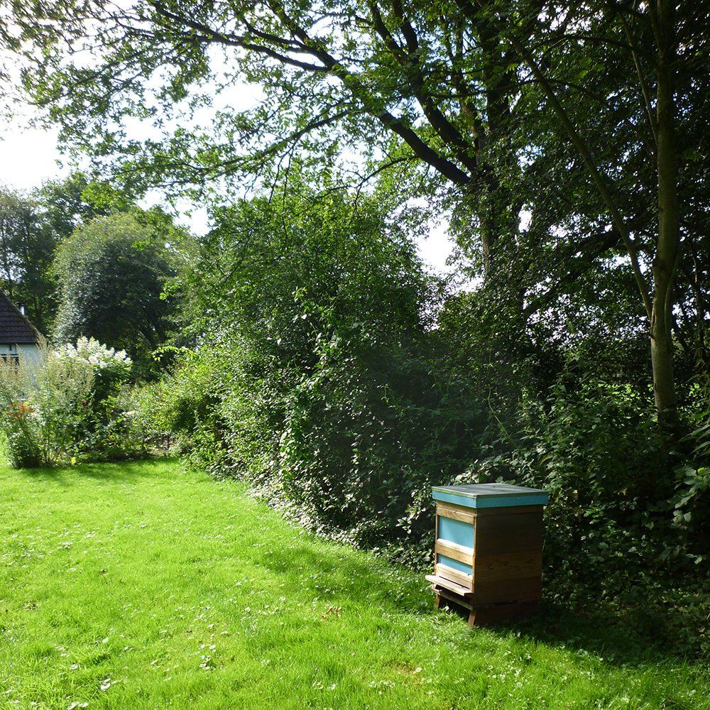 Gebruikte bijenkasten