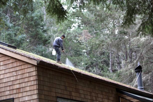 A man is spraying water on the roof of a house. He is expertly cleaning moss from the Coventry roof.