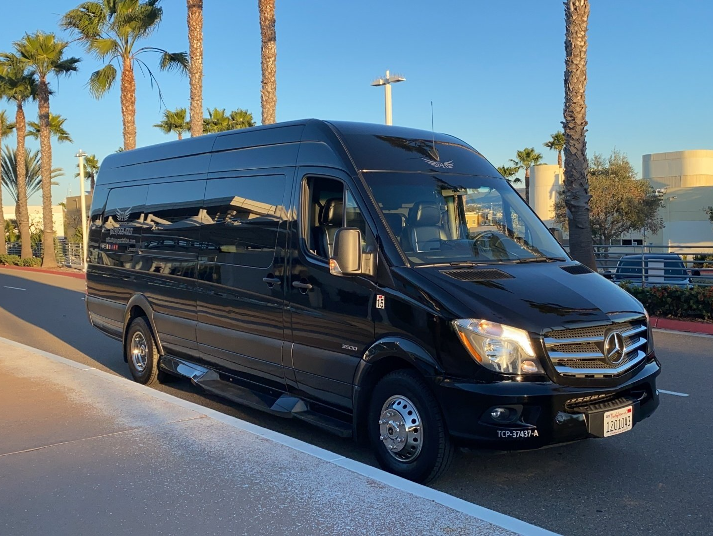 a black van is parked on the side of the road next to palm trees .