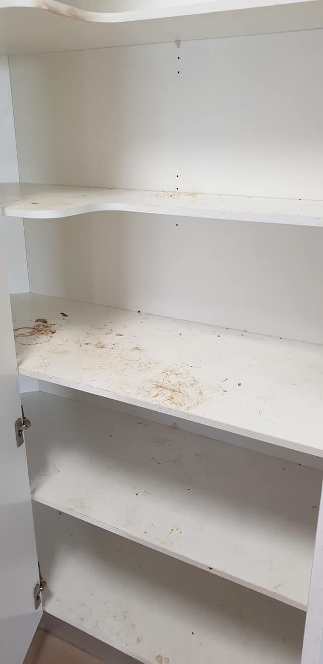 An Empty Closet With Dirty Shelves and a Door — Lease Clean Newcastle in Newcastle, NSW