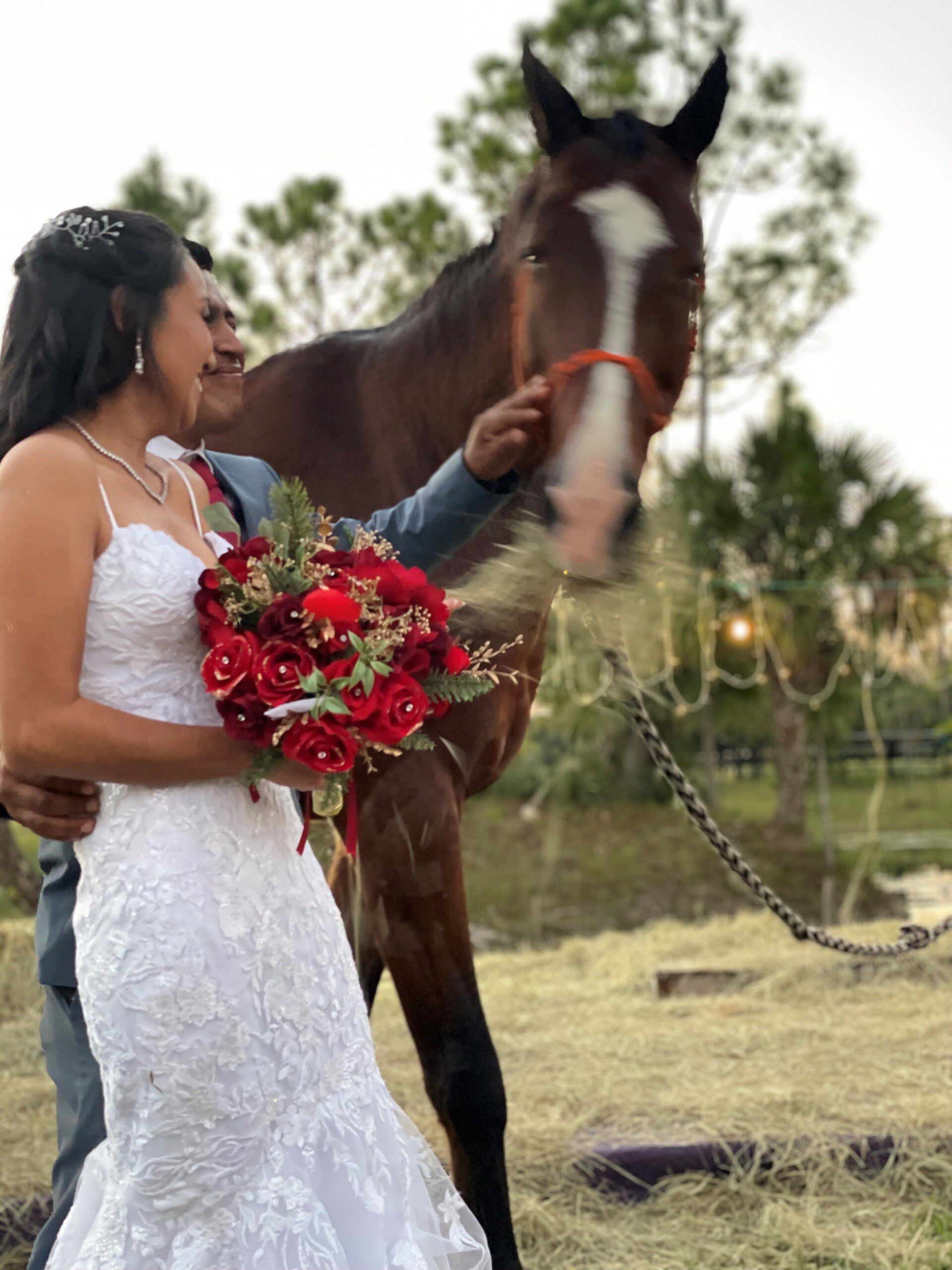 Farm Wedding with Horses and Unique Ranch Experiences