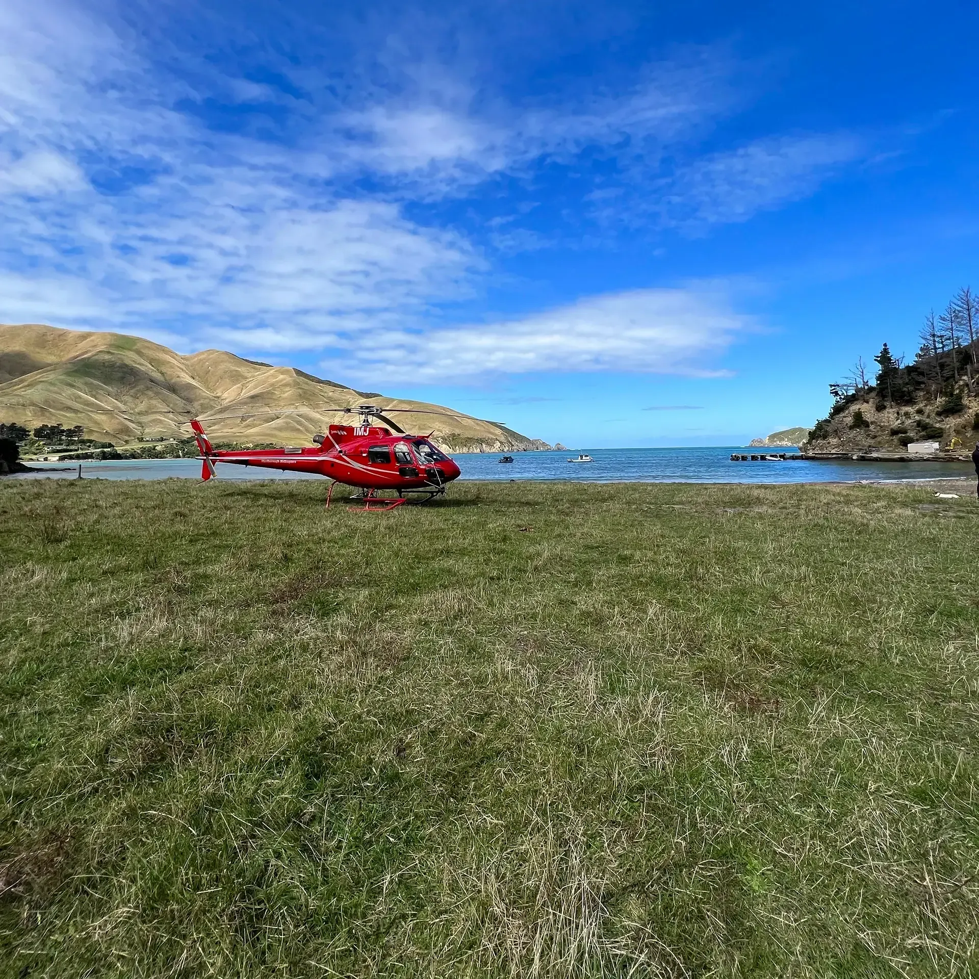 Helicopter to Arapawa farms with Avon Valley Lodge Experiences.