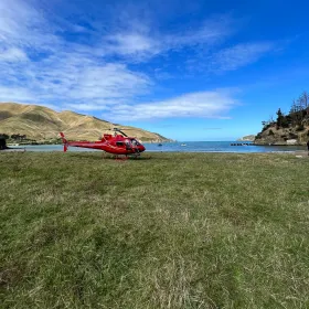 Experiences at Avon Valley Lodge in Marlborough New Zealand.