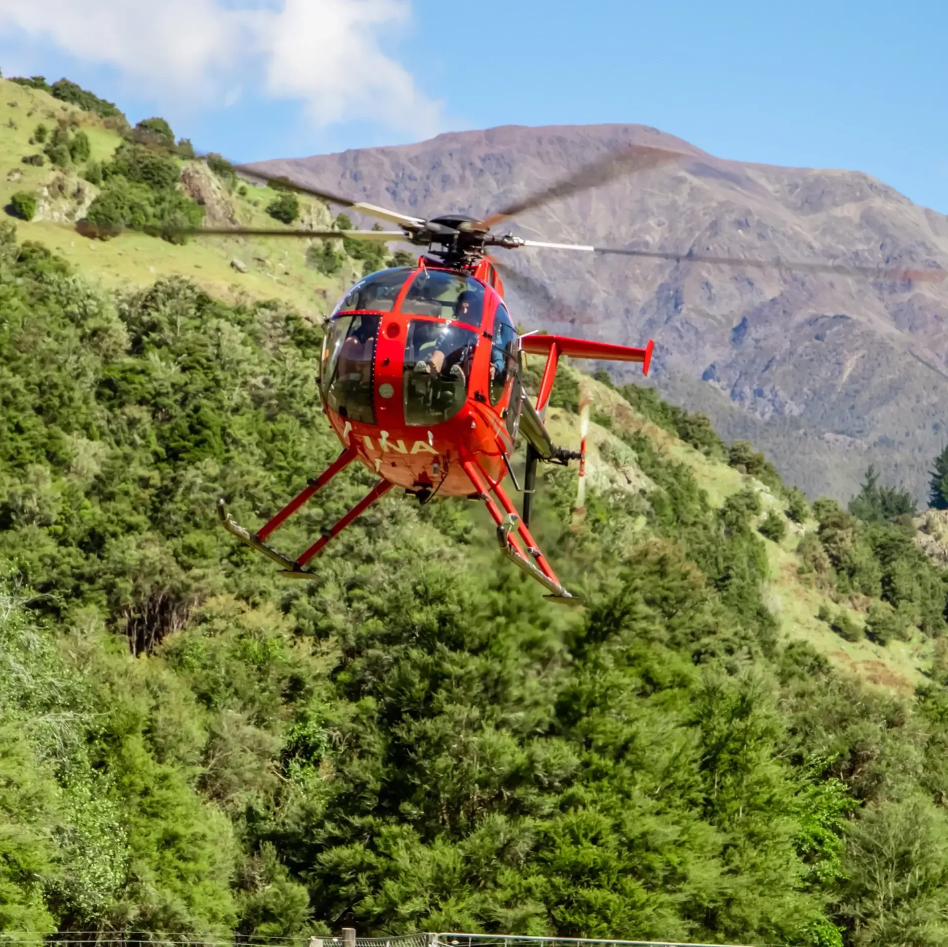 Marlborough things to do, 
Best activities Marlborough, Hunting in New Zealand
