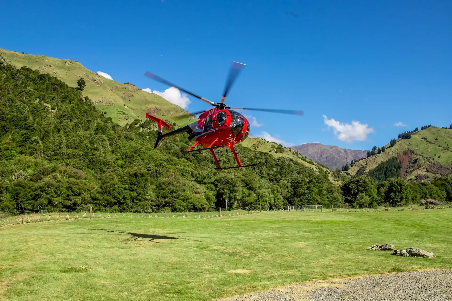 Marlborough things to do, 
Best activities Marlborough, Hunting in New Zealand
