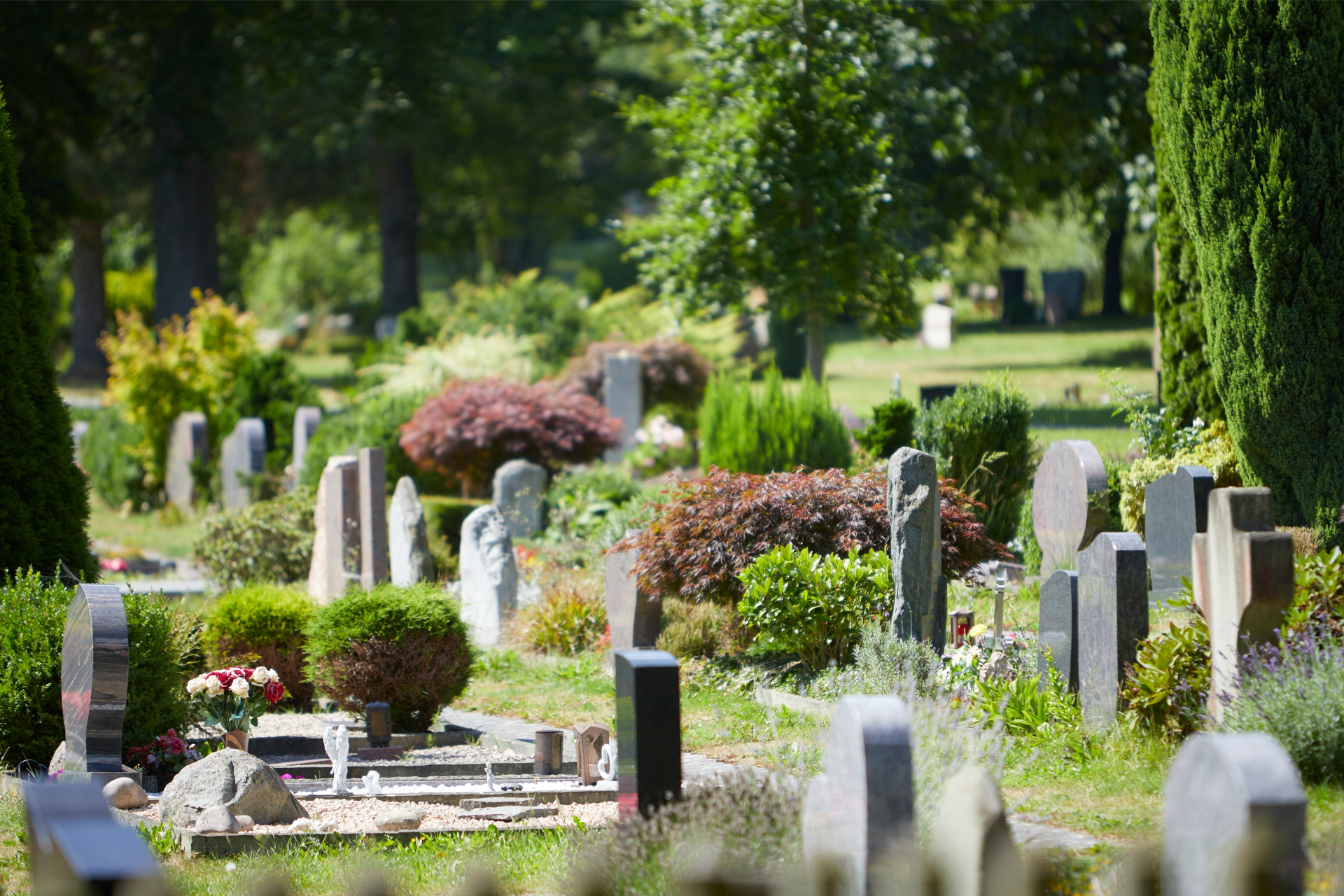A cemetery filled with lots of graves and trees.