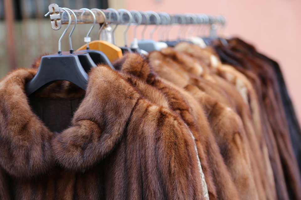 Tips To Properly Care For Your Fur Coat, Can A Fur Coat Be Dry Cleaned