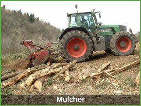 forestry mulching