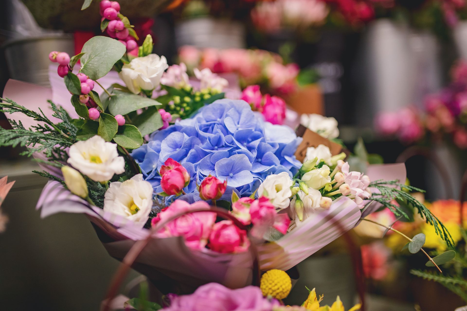 Vivaio belverde vendita piante fiorite, fiori freschi e bouquet