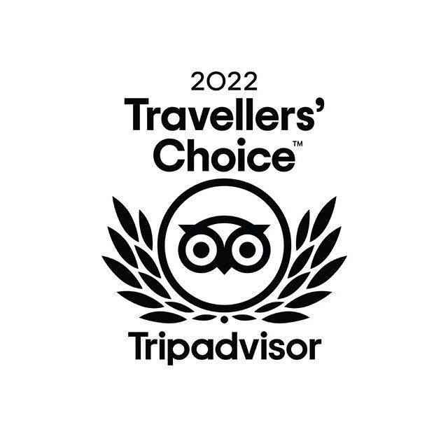 It is a travelers choice tripadvisor logo.