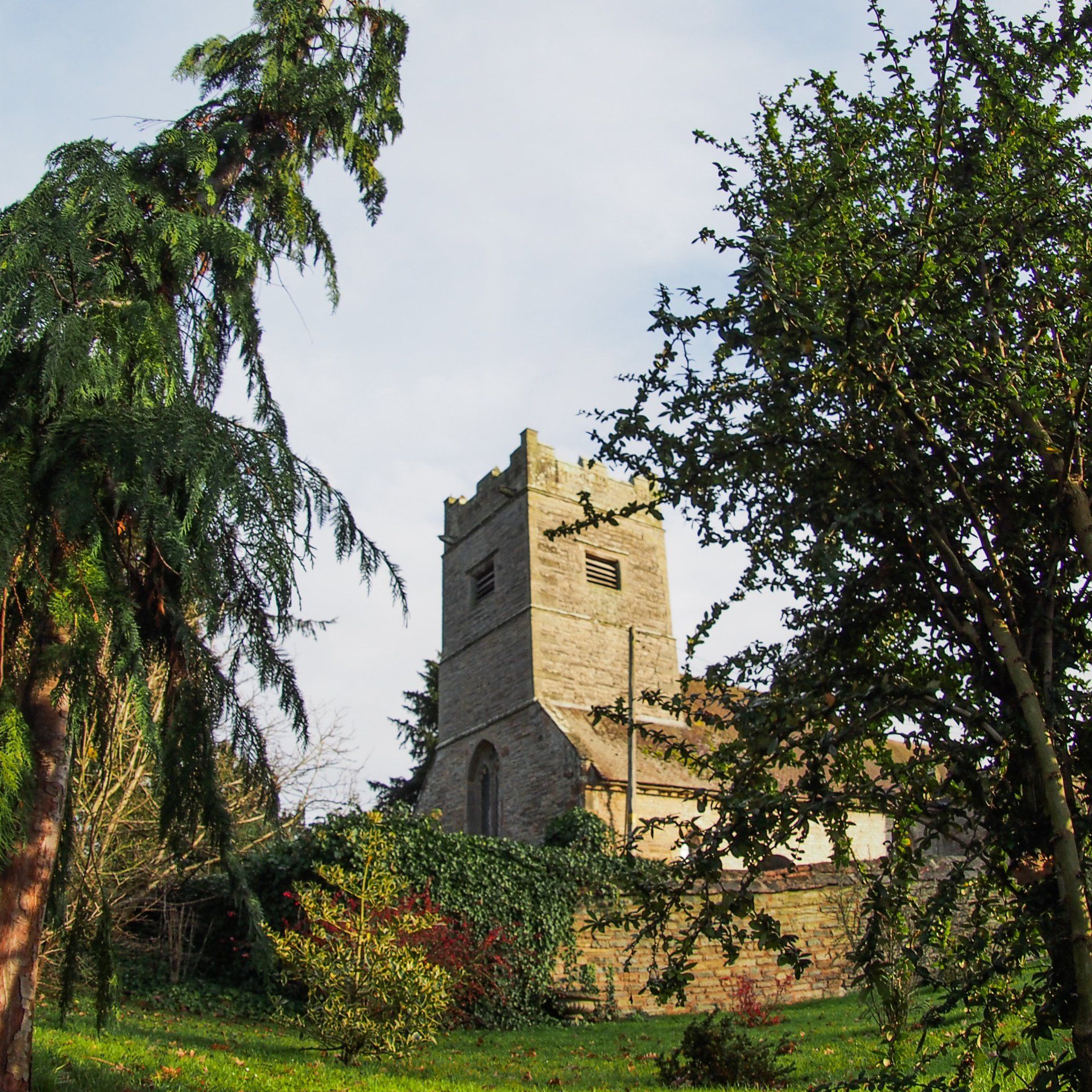 A tower with a clock on it is surrounded by trees