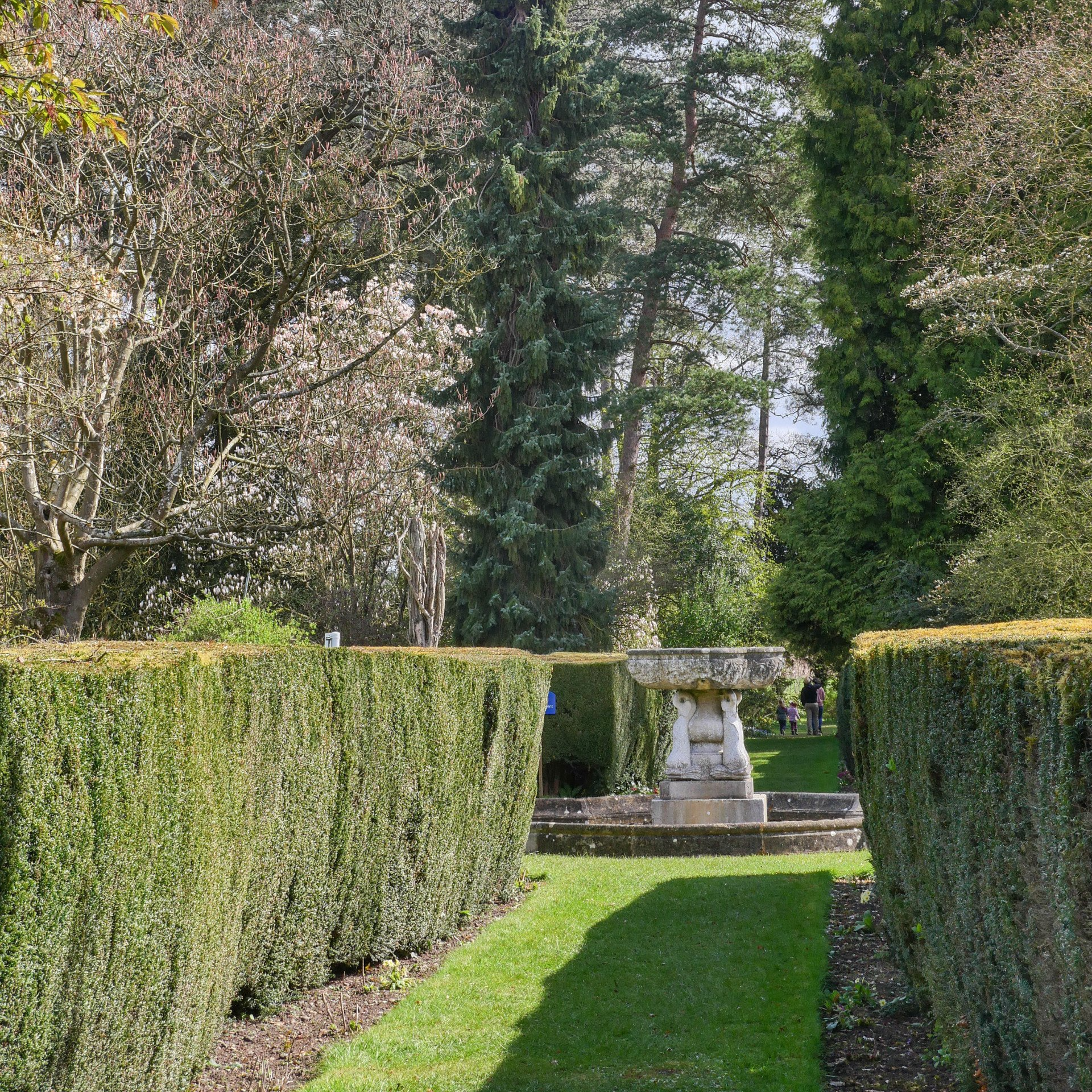 The central fountain enclosed by yew hedges to all sides