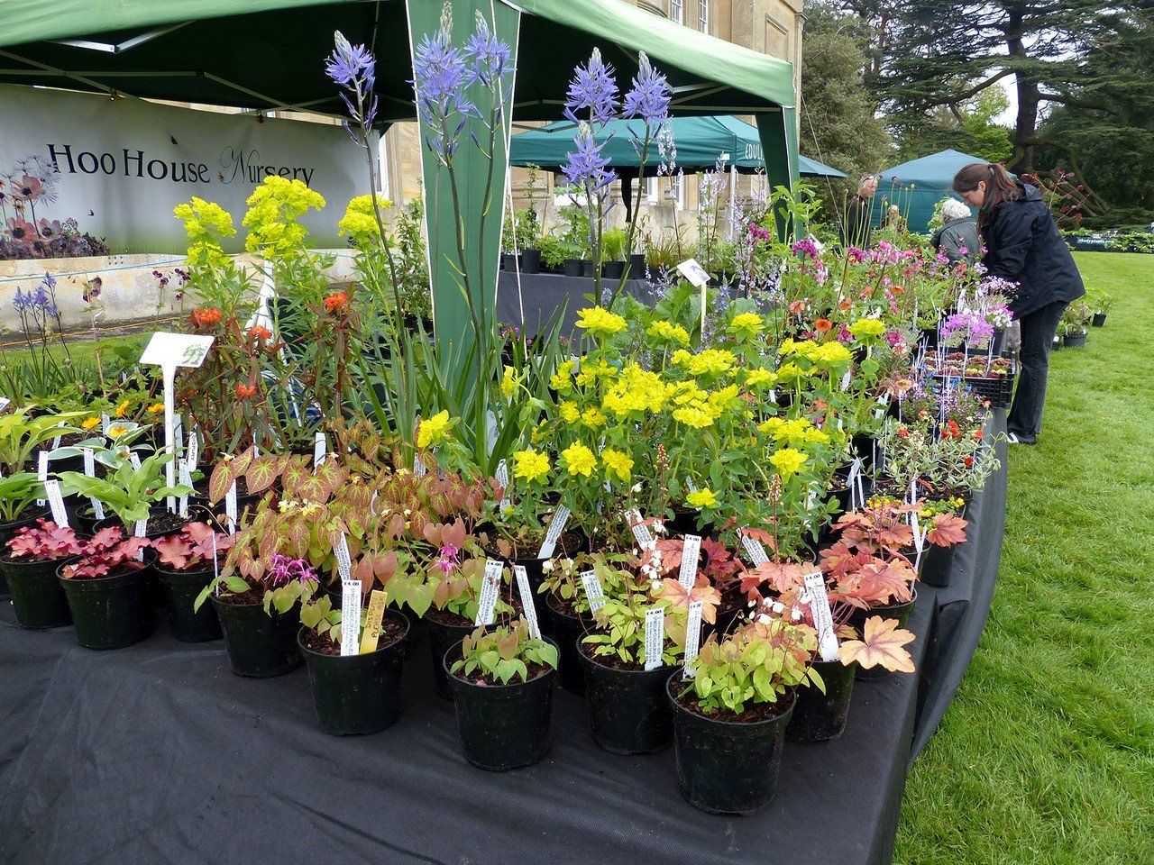 A woman is standing in front of a table full of potted plants.