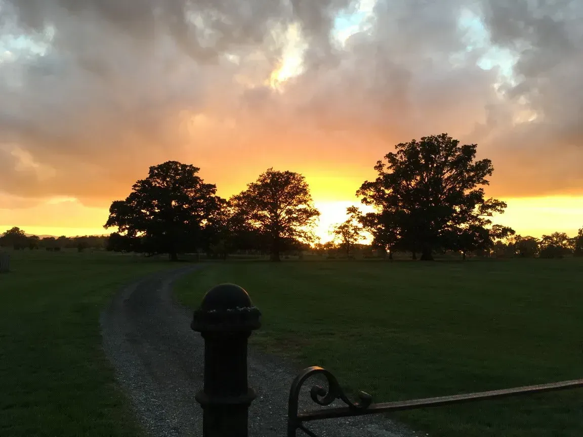A sunset over a grassy field with trees in the foreground