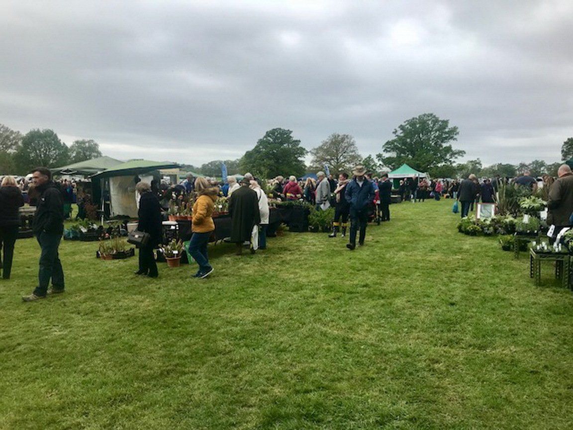 A group of people are standing in a grassy field at a market.