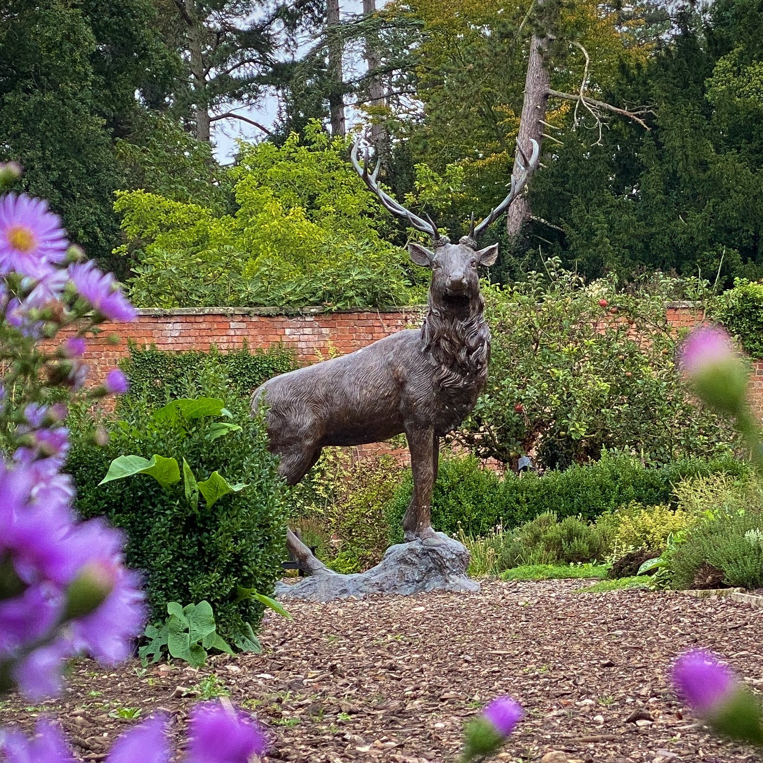 A bronze Ramsey stag stands proudly at the centre of the Kitchen Garden surrounded by old fashioned fruit trees and vegetable beds