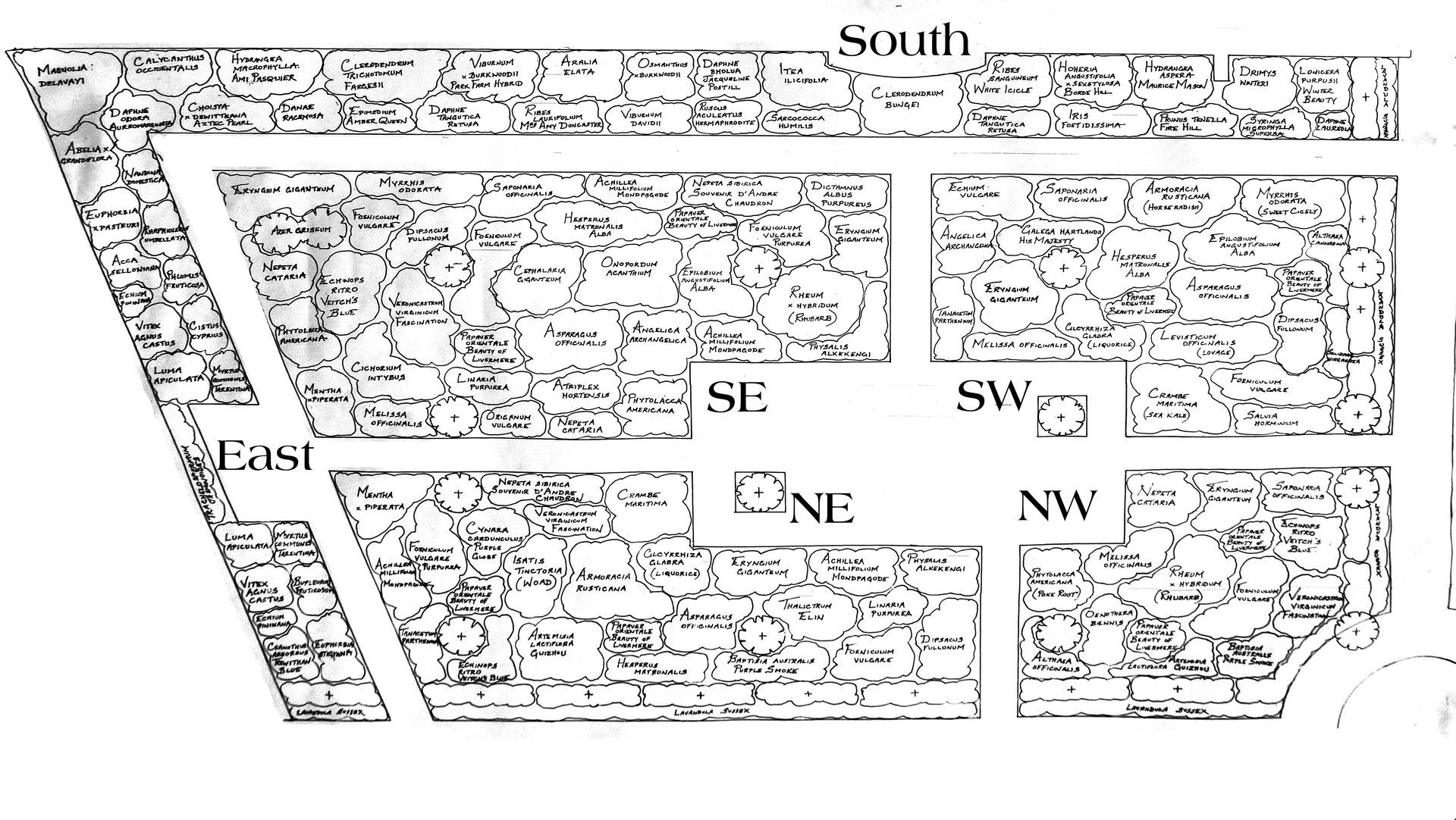 New Garden Plan
