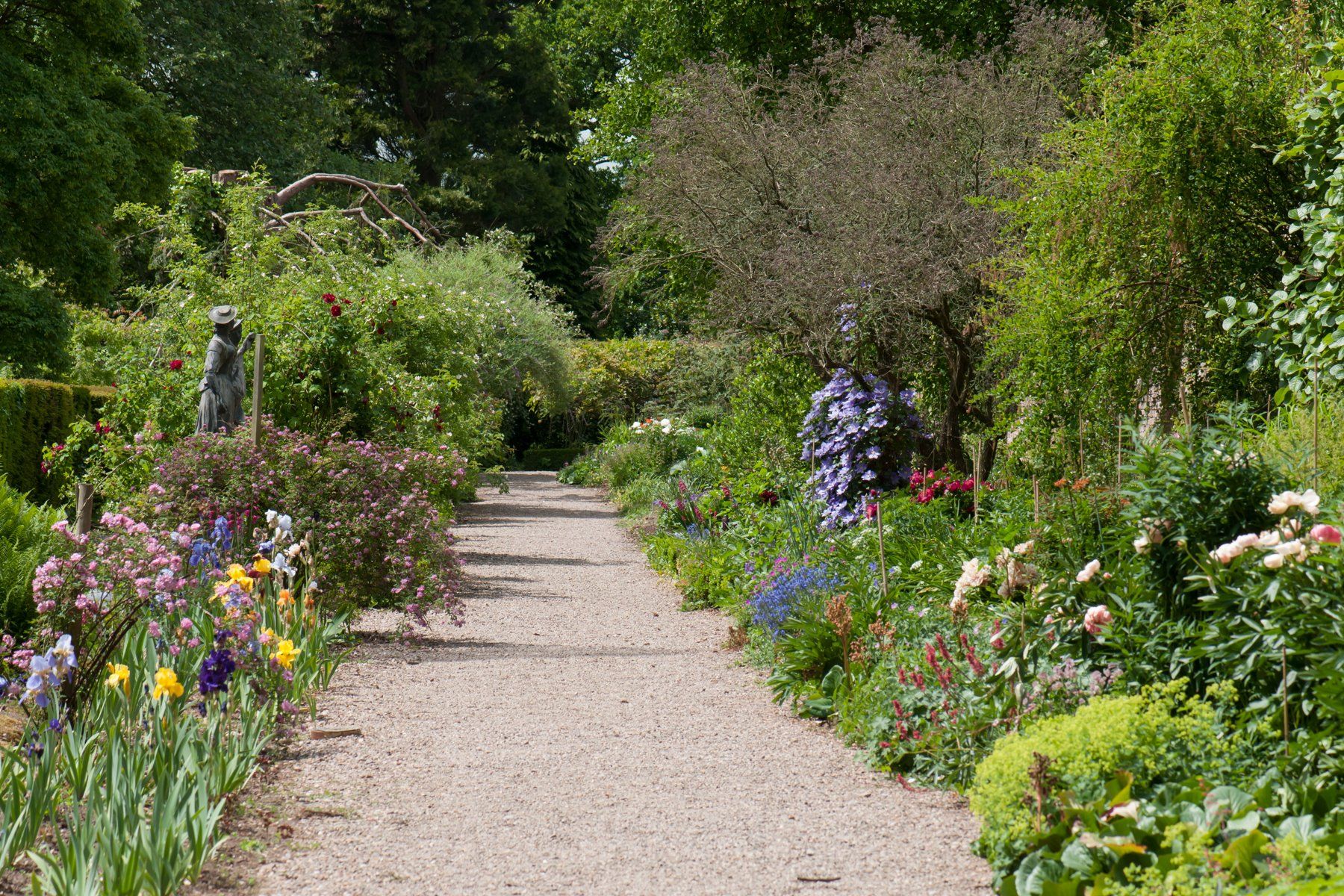 A gravel path surrounded by flowers and trees in a garden.
